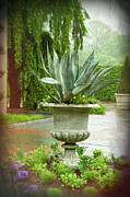 Garden Vignette Photograph by Marilyn Cornwell Garden Vignette Photograph by Marilyn Cornwell