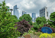 Garden with Blue Umbrella Photograph by Cate Franklyn