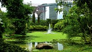 Gardens by the Bay Photograph by Robert Bociaga