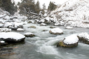 Gardner River, Yellowstone National Park Photograph by The Yellowstone Collection