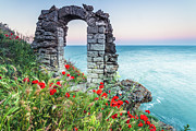 Gate In the Poppies Photograph by Evgeni Dinev Gate In the Poppies Photograph by Evgeni Dinev