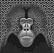 Gelada Monkey Animal Abstract 3b - Black And White Digital Art by Philip Preston