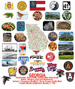 Georgia State Symbols Photograph by Robert Banach
