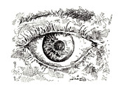 Gestural Eye - September 2023 Drawing by Joseph A Langley Gestural Eye - September 2023 Drawing by Joseph A Langley