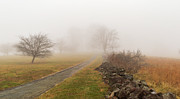 Gettysburg Battlefield 2020 Photograph by Amelia Pearn