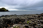 Giant's Causeway N Ireland Two Photograph by Veronica Batterson Giant's Causeway N Ireland Two Photograph by Veronica Batterson