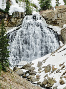 Gibbon Falls Photograph by Rachel Morrison