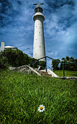 Gibbs Hill Lighthouse and daisy Photograph by Jim Feldman