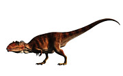 Giganotosaurus Digital Art by Daniel Eskridge Giganotosaurus Digital Art by Daniel Eskridge