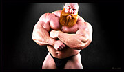 Ginger Model Digital Art by Shawn Dall