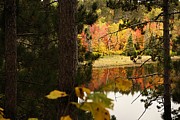 Glimpse of Autumn Photograph by Larry Ricker