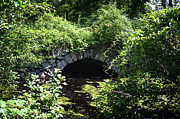 Glimpse of Sands Bridge Photograph by Steven Nelson