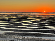 Glorious Fleeting Moments Of Wonder Photograph by Tanya Filichkin