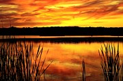 Glorious Sunset Photograph by Mary Walchuck Glorious Sunset Photograph by Mary Walchuck