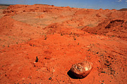 Gobi desert, Mongolia, Countryside  Photograph by Elbegzaya Lkhagvasuren