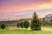 God's Green Pasture Photograph by Jo Ann Tomaselli