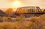 Gold Crossing Photograph by Angela Moyer