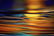 Gold Evening Photograph by Ursula Abresch