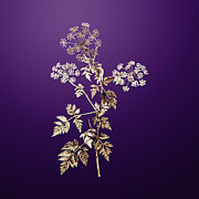 Gold Hemlock Flowers on Royal Purple n.00669 Painting by Holy Rock Design Gold Hemlock Flowers on Royal Purple n.00669 Painting by Holy Rock Design