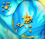 Gold On Blue Photograph by Elvira Peretsman