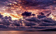 Gold, Orange And Lavender Photograph by Gene Parks Gold, Orange And Lavender Photograph by Gene Parks