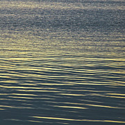 Gold Watters Photograph by Matt Halvorson