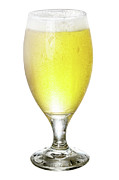 Golden Beer  Photograph by Sharon Popek