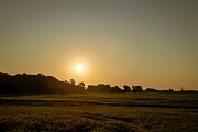 Golden Dawn Tranquil Sunrise in the Countryside Photograph by Travel Essayist Golden Dawn Tranquil Sunrise in the Countryside Photograph by Travel Essayist