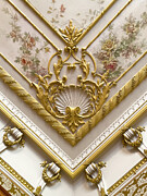 Golden Decoration  Photograph by Mary Lee Dereske