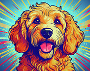 Golden Doodle Pop Art Mixed Media by Dan Sproul Golden Doodle Pop Art Mixed Media by Dan Sproul