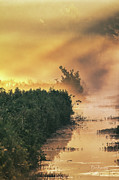 Golden Fog #8657 Photograph by Dan Beauvais