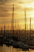 Golden Harbor 3 Photograph by Ryan Weddle