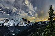 Golden Highlights Photograph by Tim Lyden