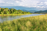Golden Hour on the Yellowstone River Photograph by Douglas Wielfaert Golden Hour on the Yellowstone River Photograph by Douglas Wielfaert