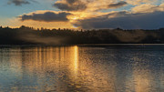 Golden Pond Photograph by Bill Posner