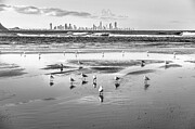 Golden Retreat BW Photograph by Az Jackson