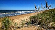 Golden Sands of Isle of Palms Digital Art by Sven Andersen