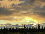 Golden Sky Photograph by Harry Banks