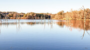 Golden Stillness at Inks Lake State Park Photograph by Brigitte Blanchette Thompson Golden Stillness at Inks Lake State Park Photograph by Brigitte Blanchette Thompson