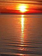 Golden Sunrise Reflections over the Bay Photograph by Caritas Creation Golden Sunrise Reflections over the Bay Photograph by Caritas Creation
