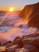 Golden Sunset Photograph by Andrea Whitaker Golden Sunset Photograph by Andrea Whitaker