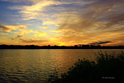 Golden Sunset Photograph by Mary Walchuck Golden Sunset Photograph by Mary Walchuck