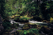 Gollinger Wasserfalls Photograph by Vaclav Sonnek
