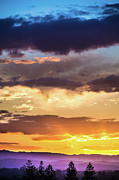 Good Afternoon Photograph by Az Jackson Good Afternoon Photograph by Az Jackson
