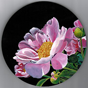 Good Morning Peony Painting by Daniela Easter