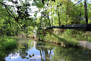 Bridging Perspectives A Viewpoint Beneath the Pedestrian Walkway Photograph by Brigitte Blanchette Thompson Bridging Perspectives A Viewpoint Beneath the Pedestrian Walkway Photograph by Brigitte Blanchette Thompson