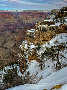 Grand Canyon in Winter Photograph by Ed Clark