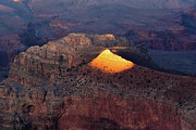 Grand Canyon Light Photograph by Susie Loechler