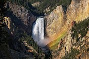 Grand Canyon of Yellowstone Photograph by Brook Burling