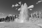 Grand Geyser Eruption, Yellowstone National Park Black And White Photograph by The Yellowstone Collection